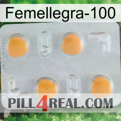 Femalegra-100 24